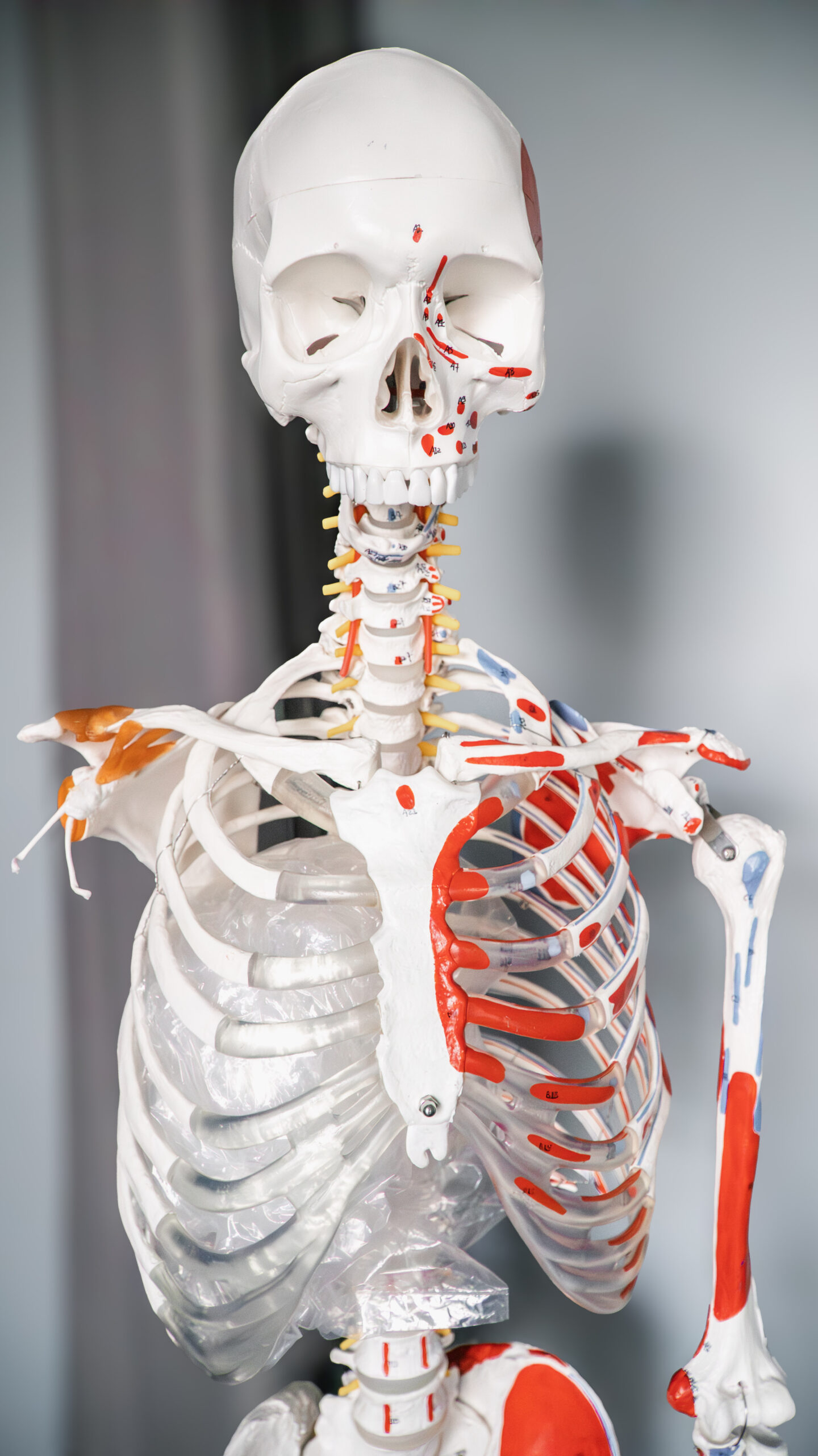 Chad Wheeler, neuromuscular and orthopedic manual massage therapist